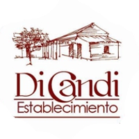 logo dica