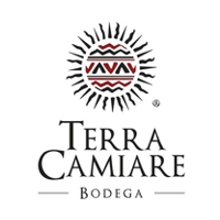 logo terra